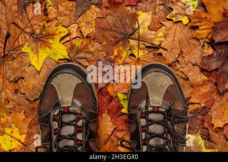 Hiking boots on the forest floor. Conceptual image of legs in hiking shoes on the autumn leaves. Stock Photo