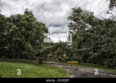 Road closed after cyclone Stock Photo
