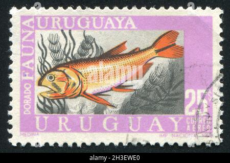 URUGUAY - CIRCA 1968: stamp printed by Uruguay, shows Characin, circa 1968 Stock Photo