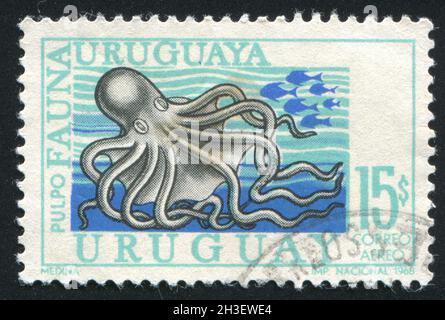 URUGUAY - CIRCA 1968: stamp printed by Uruguay, shows Octopus, circa 1968 Stock Photo