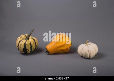 harvesting concept - three small pumpkins isolated on gray background Stock Photo