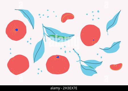 Set of decorative tangerines, slices and leaves. Isolated on white background mandarin. For design. Stock Vector