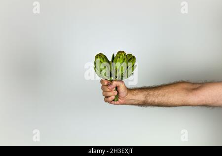 Hand holding three artichokes on white background Stock Photo