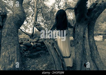 Faceless asian woman standing in an old twisted olive tree Stock Photo