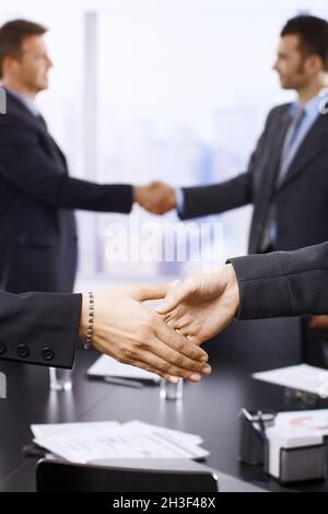 Businesspeople shaking hands Stock Photo