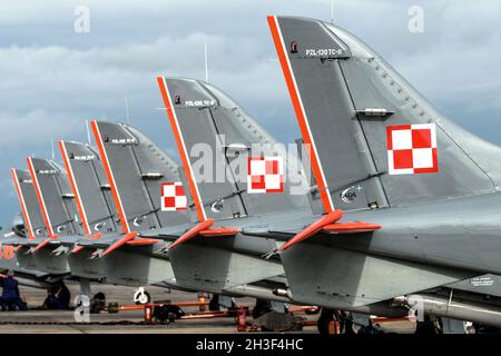 Radom, Poland - June 26, 2014: Orlik Aerobatic Team open day - PZL-130 tail wings Stock Photo