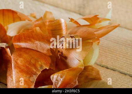 Several onion peelings lies on a wooden surface. Stock Photo