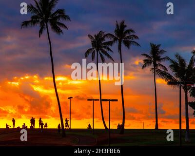 Hawaiian Silhouettes - Taken at Magic Island, Honolulu, during a spectacular sunset.  Silhouettes against the sky. Stock Photo