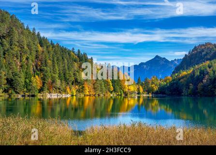 Alatsee Lake in autumn, near Füssen, Allgau, Bavaria, Germany, Europe Stock Photo