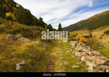 A path with many stones borders the river Incles between forests and pastures in the Vall d'Incles, Andorra Stock Photo