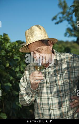 Senior vintner testing wine Stock Photo