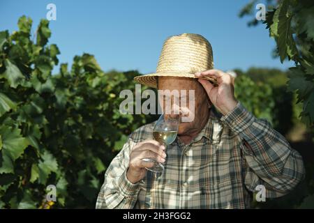Senior winemaker testing wine Stock Photo
