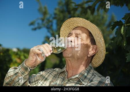 Senior winemaker testing wine Stock Photo