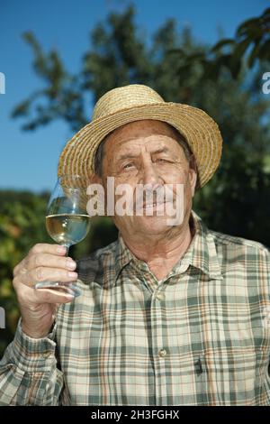 Senior vintner testing wine Stock Photo