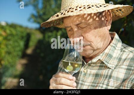 Senior vintner testing wine Stock Photo