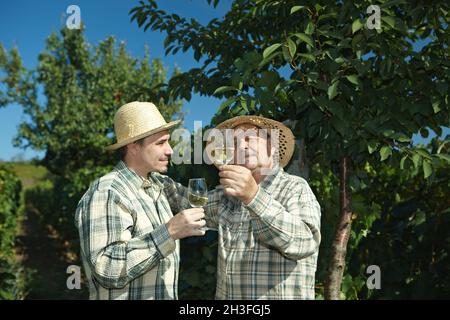 Winemakers testing wine Stock Photo