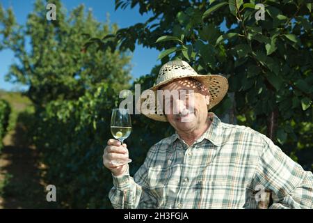 Senior vintner testing wine Stock Photo