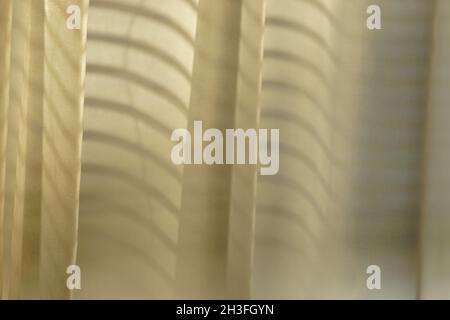 Background the sunny organza tulle with shadows from blinds. Stock Photo