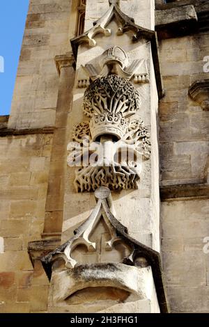Bath Abbey Carvings Of An Olive Tree Legend Has It Bishop Oliver King Was Inspired To Rebuild The Abbey In 1499 After Dreaming Of The Tree And Crown Stock Photo Alamy
