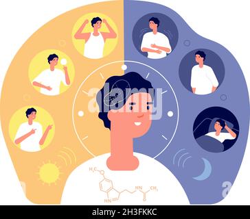 Day night rhythm. Natural sleep, schedule day night. Melatonin sleeping people, morning evening activity. Healthy life balance cycle utter vector Stock Vector