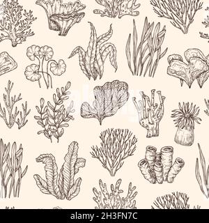 A set of underwater plants and animals. Hand drawn doodle monochrome  starfish, shells, squid, fish, sea horse a… | Underwater plants, Underwater  tattoo, Sea tattoo