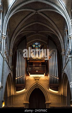 Vertical shot of Lausanne´s Cathedral Pipe Organ. Stock Photo