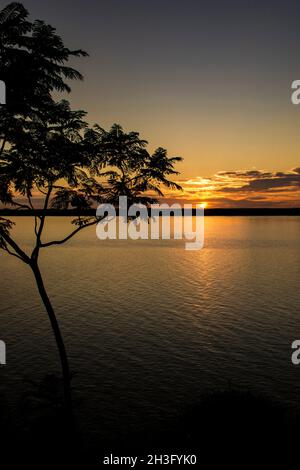 Golden sunrise over the water of Uruguay River and a tree at left side. El Palmar, Entre Ríos, Argentina Stock Photo