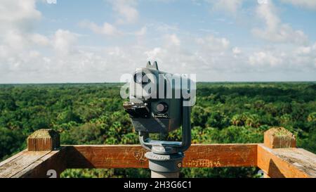 Canopy Overlook at Myakka River State Park, Sarasota, FL, USA Stock Photo