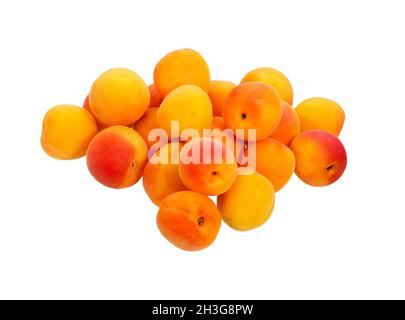 Apricots or  peaches  isolated on white background. Bunch of apricot fruit. Isolated fruits Stock Photo