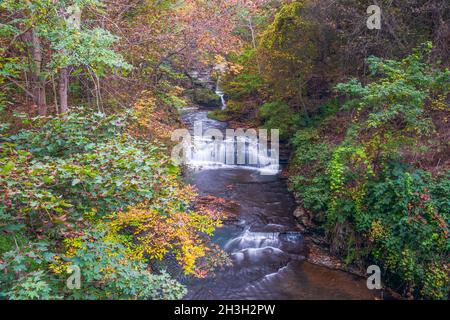 Upper cascades of Shequaga falls on the Shequaga creek. Montour Falls. New York. USA Stock Photo