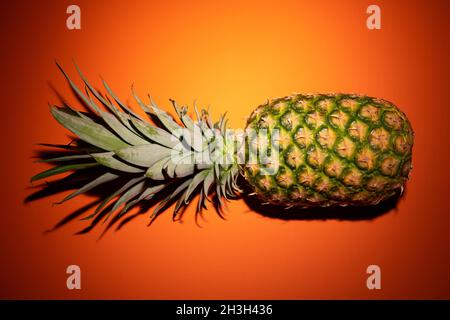 A low angle view (overhead shot) of a whole pineapple fruit laid flat on an orange colour surface (background) - stock Photography Stock Photo