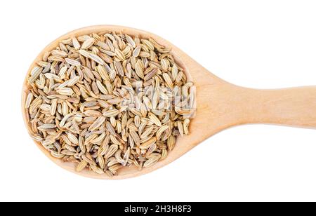 Dried fennel seeds in wooden spoon isolated on white background, saved clipping path. Stock Photo