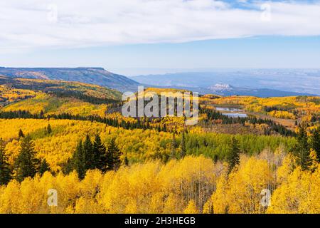 Aerial view of autumn, falls colors of Grand Mesa National Forest from overlook at Scenic Byway State Highway 65 in Colorado Stock Photo