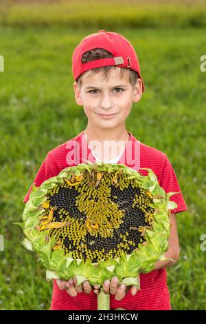 Young happy boy hold sunflower in a garden Stock Photo