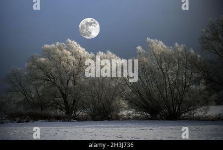 Aartal, Taunusstein, full moon, winter, snow, hoarfrost, Stock Photo