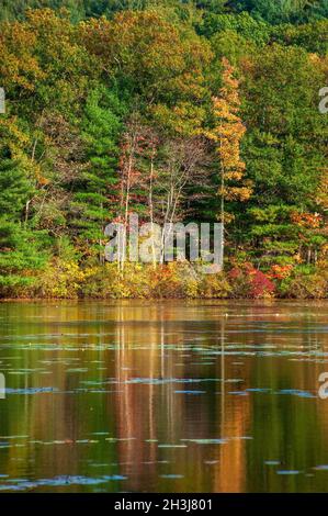 Scenic view of the Eames Pond, in Moore State Park, MA. Glorious fall ...