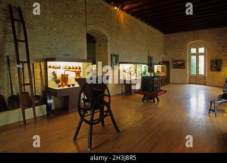 FRANCE,CENTRE REGION,EURE-ET-LOIR DEPARTMENT (28),CHATEAUDUN CASTLE Stock Photo