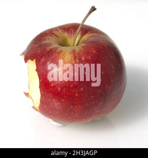 Apfel, Malus, domestica, Stock Photo