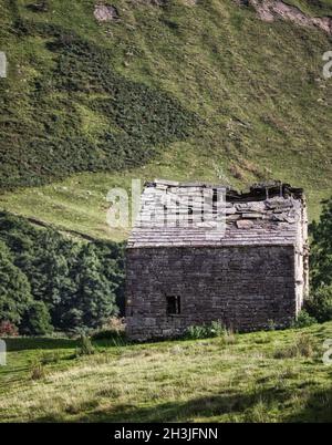 An abandoned crumbling traditional stone barn, Swaledale, Yorkshire Dales National Park, Richmondshire, North Yorkshire, England Stock Photo