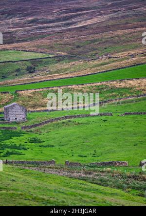 Traditional stone barn farmland and dry stone walls, Langstrothdale, Yorkshire Dales National Park, North Yorkshire, England Stock Photo