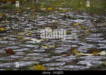 Old paved road in the fall. Dry leaves on a stone trail. Stock Photo