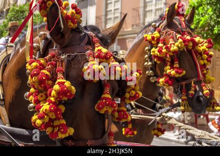 MALAGA, SPAIN - AUGUST, 14: Horsemen and carriages at the Malaga August Fair on August, 14, 2009 in Malaga, Spain Stock Photo