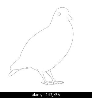 Contour of a dove from black lines isolated on a white background. Vector illustration Stock Vector