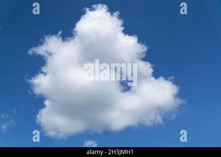 Small, fluffy cumulus cloud in blue sky Stock Photo