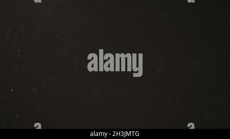 Slow motion dust particles float in warm light on black background, 120fps Stock Photo