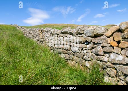 Dry stone walling or a Dry stone wall across a green field England GB UK Europe Stock Photo