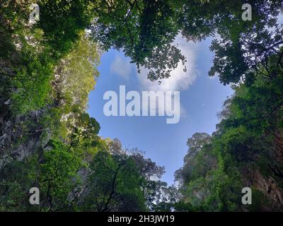 Beautiful view of trees forming the shape of a heart with the sky in the background Stock Photo