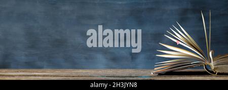 open book, close up,education learning reading, education, panoramic, free copy space Stock Photo
