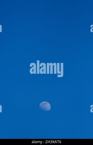 the moon in half moon phase Stock Photo