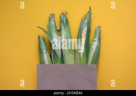 Paper craft bag with corn harvest on yellow background. Top view of different groceries farm shop, fresh vegan green food delivery. Stock Photo